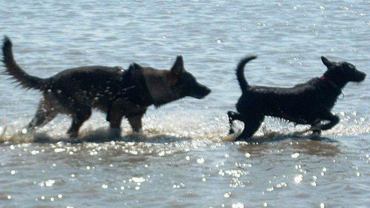 Außenansicht des Gebäudes. Kennenlernen im Meer Außenansicht des Gebäudes. Kennenlernen im Meer
